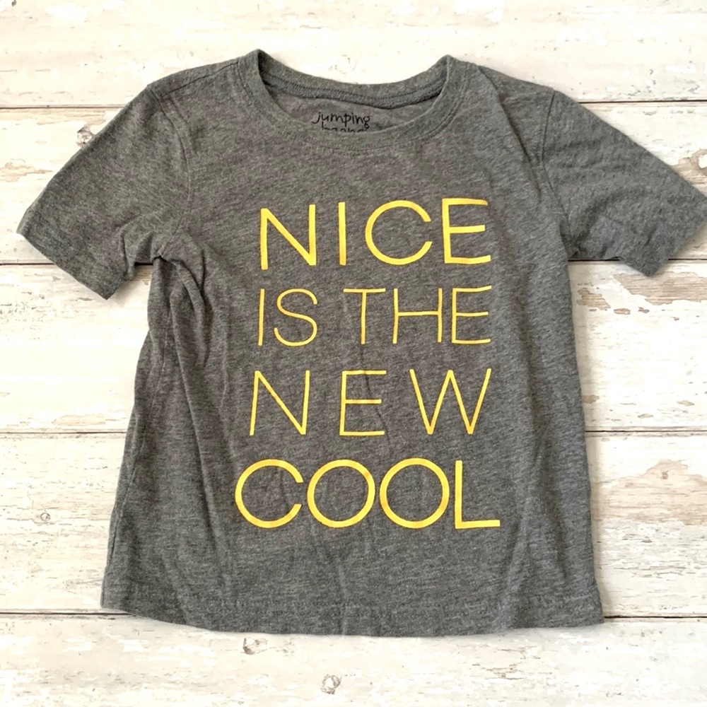 Boys 3T Gray Short Sleeve Shirt Nice is the new Cool 100% Cotton Kids Top